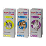 Bravecto Antiparasitario 12 Semanas Gato 12 A 28kg