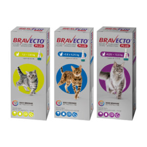Bravecto Antiparasitario 12 Semanas Gato 12 A 28kg