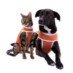Body Post Operatorio Con Cobre Perro Gato Talla 0 15 A 25 Kgs