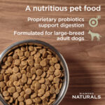 Diamond Naturals Alimento Adult Large Breed 15kg 2