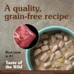Taste Of The Wild Alimento Southwest Canyon Jabali Lata 390gr 2