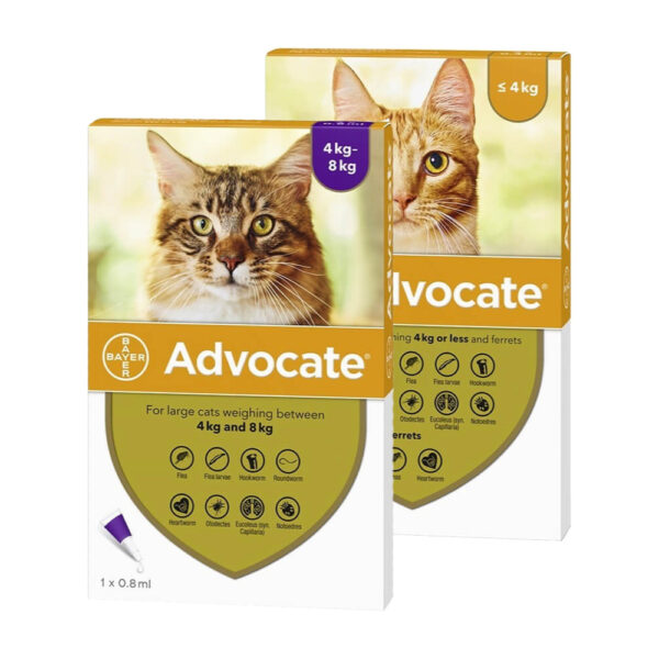 Advocate Pipeta Gato Hasta 4kg 2