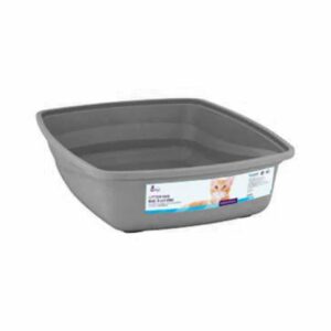 Cat Love Bano Gato Simple Color Gris 2
