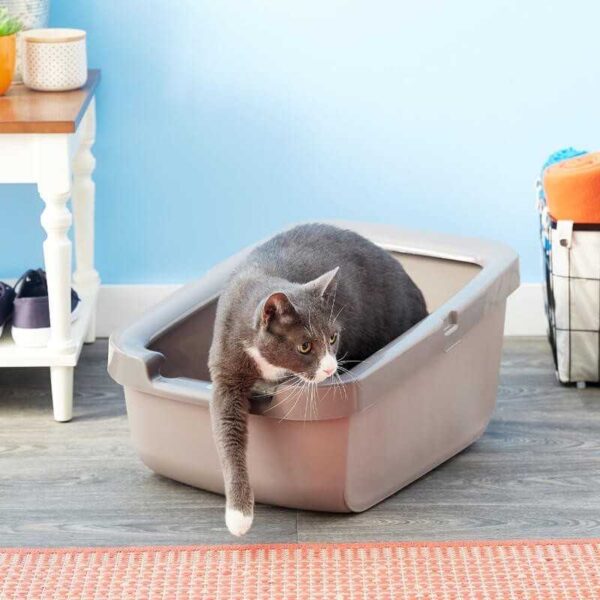 Catit Bano Gato Borde Grueso Color Gris Claro 2