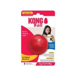 Kong Ball Small Small