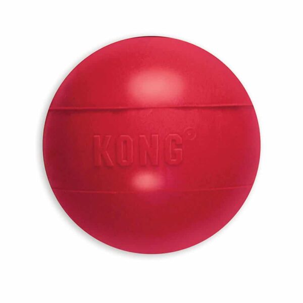 Kong Ball Small Small 2