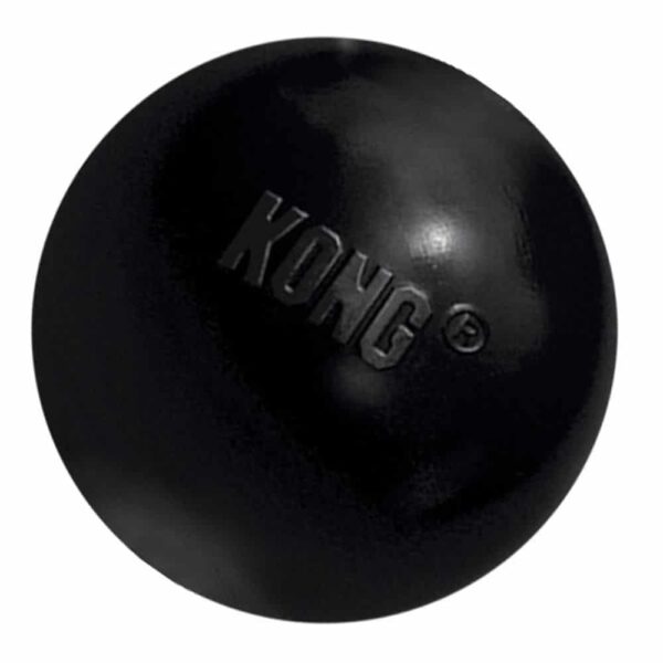 Kong Extreme Ball Small 2
