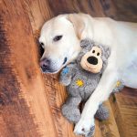 Kong Wild Knots Bear Small 2