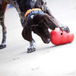 Kong Wobbler Dog Small 3