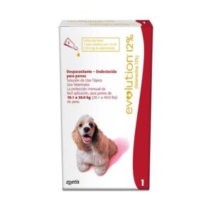 Revolution Pipeta Perro 10.1 a 20Kg