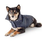 Gfpet Chaqueta Denim Perro 4