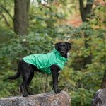 Gfpet Impermeable Reversible Perro Verde 5