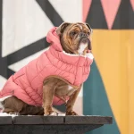 Gfpet Parka Super Puff Perro Rosa 2