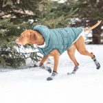 Gfpet Parka Super Puff Perro Verde 2