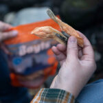Bayts Liofilizado Aletas De Salmon Perro 100gr 2