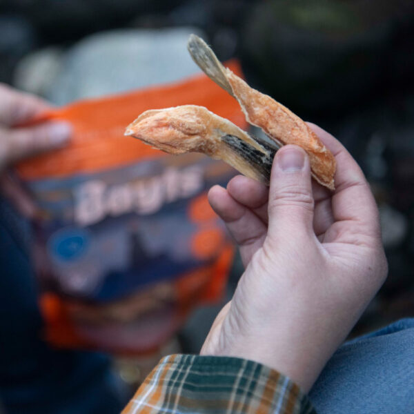Bayts Liofilizado Aletas De Salmon Perro 100gr 2
