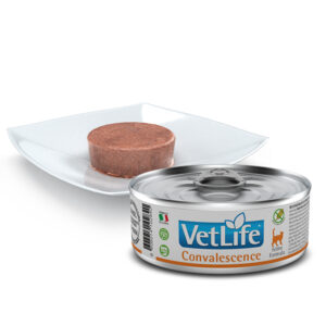 Vet Life Gato Lata Convalescence 85gr 3