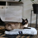 Brnx Colchon Anti Estress Perro Gato Talla M 75x50cms
