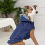 Gfpet Impermeable Reversible Azul Large 2