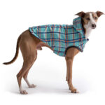 Gfpet Impermeable Reversible Azul Large 5