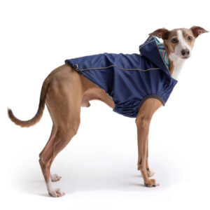 Gfpet Impermeable Reversible Azul Small 4.jpg