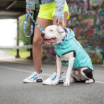 Gfpet Impermeable Reversible Neon Aqua Small 3.jpg