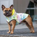 Gfpet Impermeable Reversible Neon Yelow Small 5.jpg