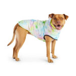 Gfpet Impermeable Reversible Neon Yellow Large 2