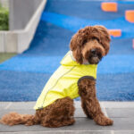 Gfpet Impermeable Reversible Neon Yellow Large 3