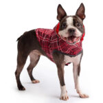 Gfpet Impermeable Reversible Rojo Large 2