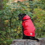 Gfpet Impermeable Reversible Rojo Large 3