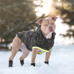 Gfpet Parka Recycled Camuflaje Large 2