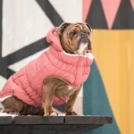 Gfpet Parka Super Puff Rosa Large 2