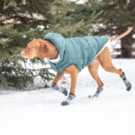 Gfpet Parka Super Puff Teal Verde.jpg