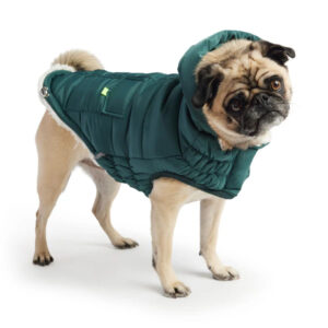 Gfpet Parka Super Puff Teal Verde Large 2