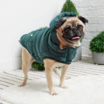 Gfpet Parka Super Puff Teal Verde Large 3