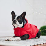 Gfpet Poleron Urban Rojo Large 2