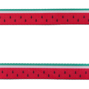 Zeedog Lola Collar Perro 3.jpg