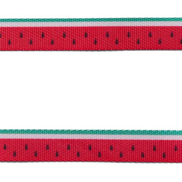 Zeedog Lola Collar Perro 3.jpg