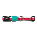 Zeedog Lola Collar Perro 4.jpg