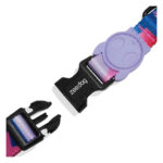 Zeedog Noon Collar Perro.jpg