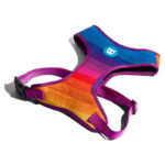 Zeedog Prisma Arnes Air Mesh Perro 2.jpg