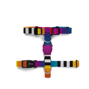 Zeedog Prisma Arnes H Perro, Large