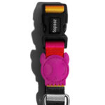 Zeedog Prisma Collar Perro 3.jpg