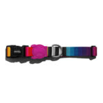 Zeedog Prisma Collar Perro.jpg
