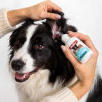 Bioline Gel Cuidado de Oidos Perros y Gatos Ear Care 50ml - Imagen 2