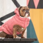 GFPet Parka Super Puff Rosa Xsmall - Imagen 4