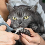 Le Salon Cortaúñas Large Para Gatos - Imagen 3