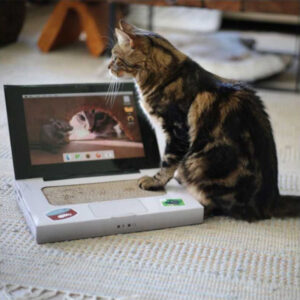 Brnx Rascador Catbook Para Gato