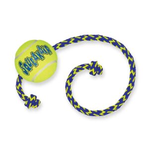 Kong Ball Air Con Cuerda